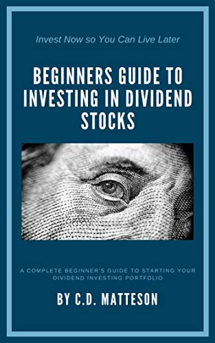 Beginners Guide to Investing in Dividend Stocks